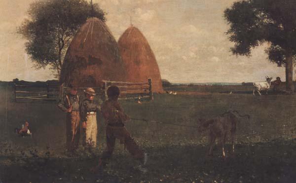 Winslow Homer Weaning the Calf (mk44) oil painting picture